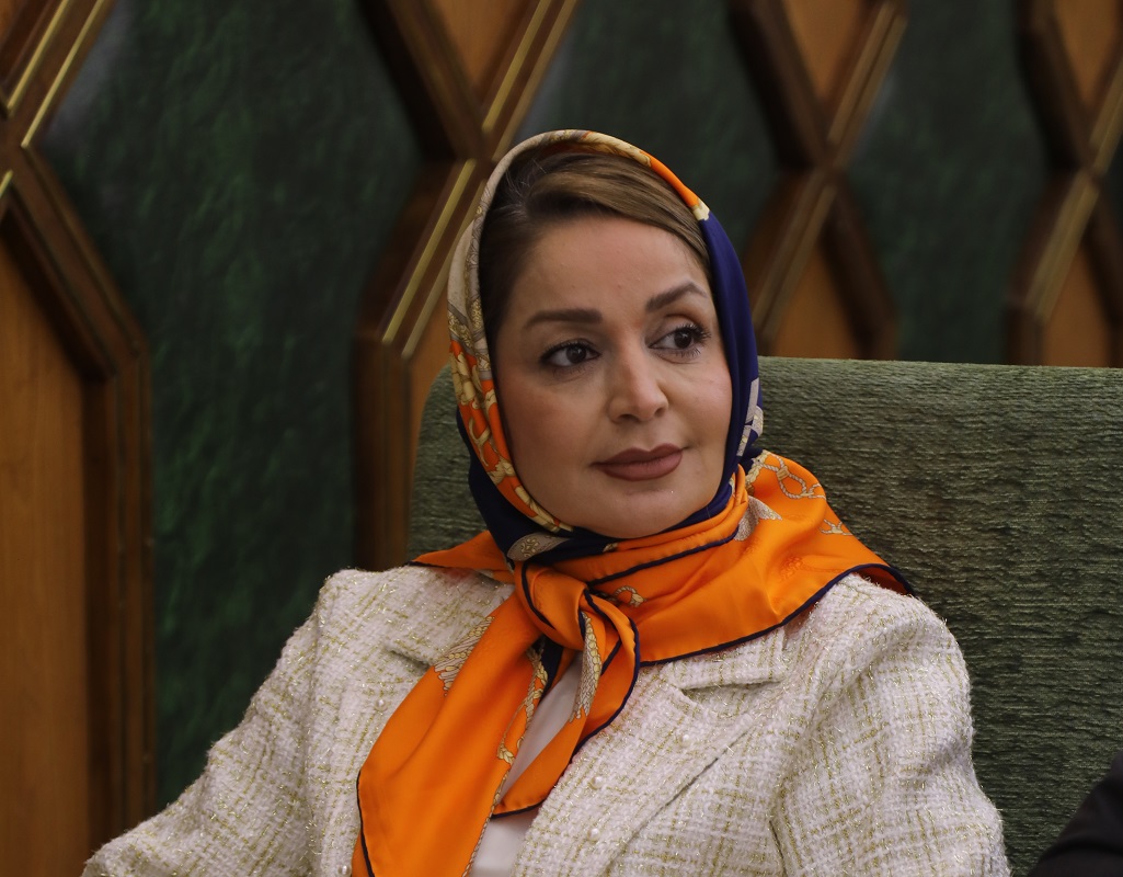 ترانزیت با چالش‌های جدی و مزمن در مرزها مواجه است